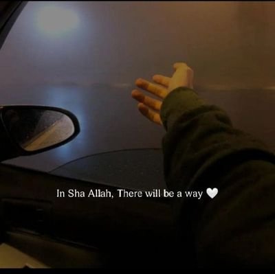 nickmarangach's profile picture. 