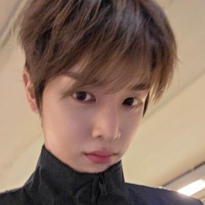 lloveesc's profile picture. 성찬이가제일조아하는