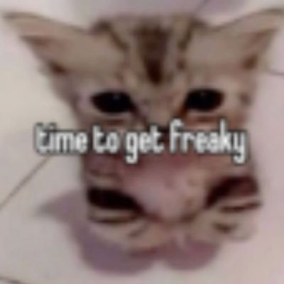 mufflass's profile picture. 