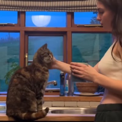 So7J3's profile picture. 今が一番若い 目指すは機嫌のいいおばちゃん。