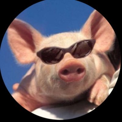 realpaypigj's profile picture. 💰💰💰 Here to put smile on others faces