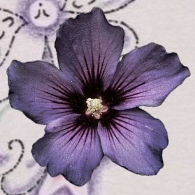 AnniFriberg's profile picture. ♫︎The girl outside the strip club
getting her tarot cards read♫︎

☀︎︎ || 17 || she/her || ♉︎