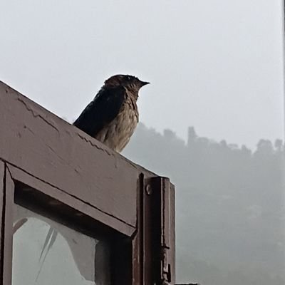 yuuuhuu966's profile picture. Y.N.W.A.