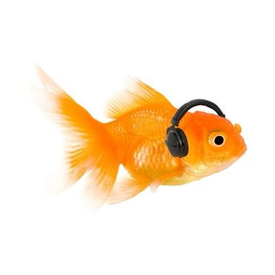 _pao_com_banana's profile picture. 