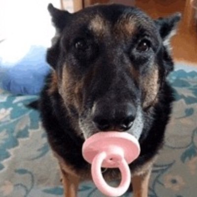 007ApexTF's profile picture. The Finals player
Streamer on @Twitch
Twitch: 007apex