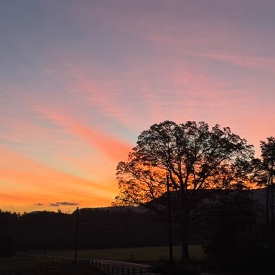 reebzzzzzz's profile picture. 