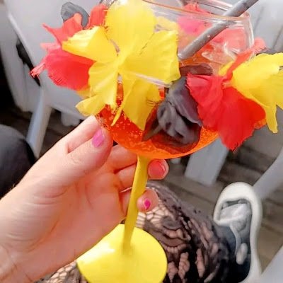 MCornets84916's profile picture. 