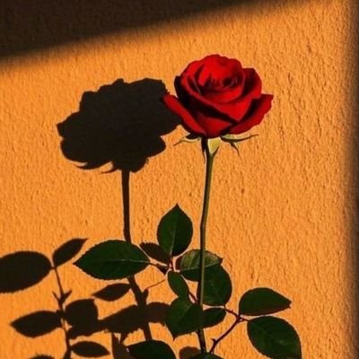 ways_am's profile picture. 