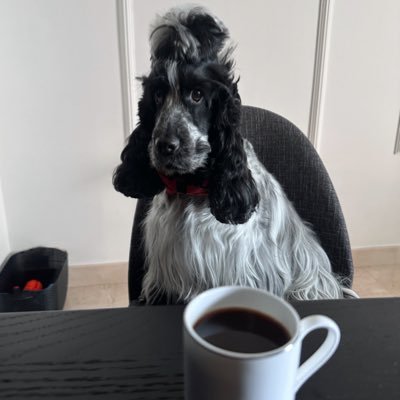 mateodazab's profile picture. 