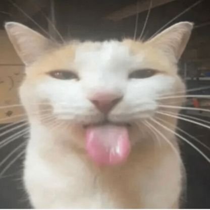 juankalgm's profile picture. 