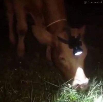 marangiolo69's profile picture. 