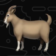 shegzyie's profile picture. This user believes in G.O.A.T. (God over all things) ✝️