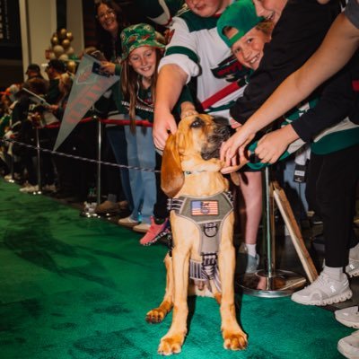 mnwildpup's profile picture. I’m Paulie, @mnwild's official rescue dog from @chdogrescue! 🐾 I'll be chasing a career with @Soldiers6MN.❤️💚 Official partner of @cubfoods.