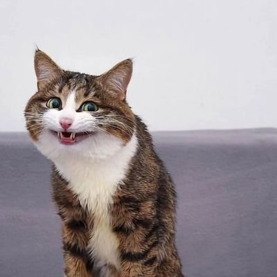 Belinda_Bundi's profile picture. Iɳ ɑ wѳʀʆɗ wɦɛʀɛ yѳu cɑɳ ɓɛ ɑɳytɦiɳg, ɓɛ kiɳɗ.