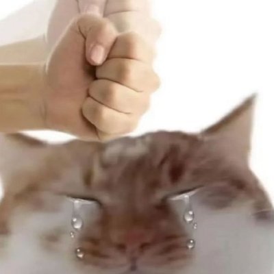 Zamoree_'s profile picture. @FabriFlame nº1 Fan
#DKWIN #MKOIWIN