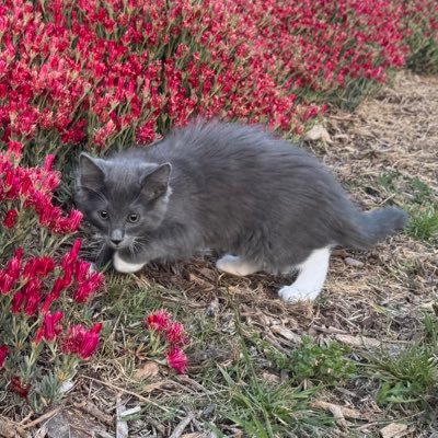 Luis12144035195's profile picture. 