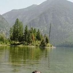 Ofootea862723's profile picture. 