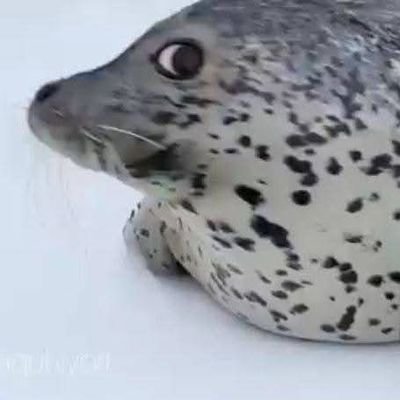 luiszx44's profile picture. 