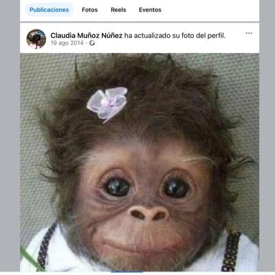 claudiiamn_'s profile picture. 