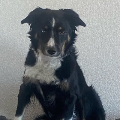 WhyHeffie's profile picture. Navy Vet. Common sense leadership. Ownership and Accountability are my life’s moto. Christ is King.