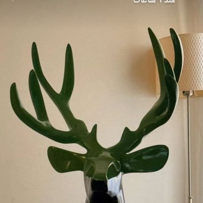 alsenatwr's profile picture. 