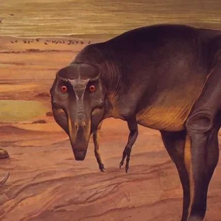 PickalyPear's profile picture. I got nothing to say except Free Palestine & Protect Trans Kids 🏳️‍⚧️🇵🇸