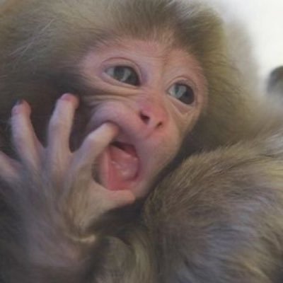 sevvistheworst's profile picture. metu