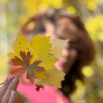 Tahira9868's profile picture. A GIS Analyst https://t.co/iSWKFQH4xr