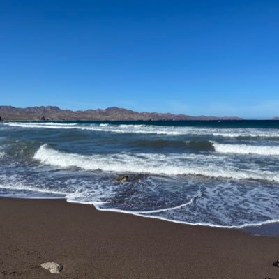 Yani16857113's profile picture. 