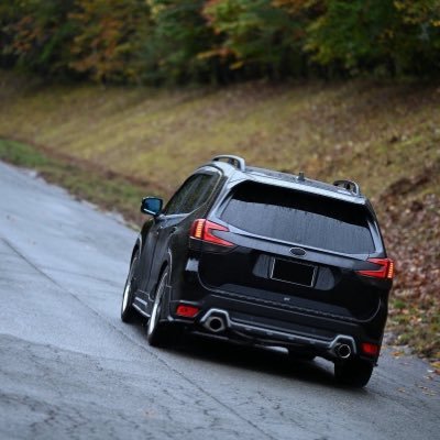 SK_CFSK5's profile picture. 