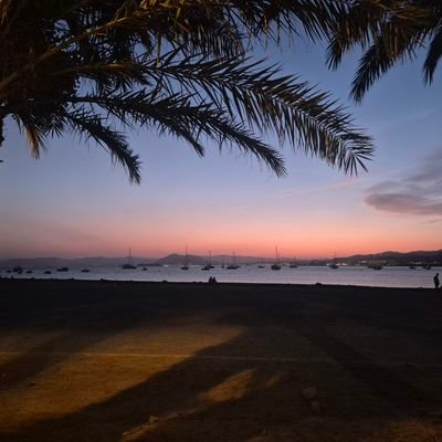 tunante578704's profile picture. 