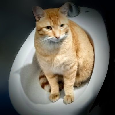 CalesitaArgenta's profile picture. ESTE es un modesto y sereno ESPACIO PARA REFLEXIONAR 💁
-
(Cuenta NO APTA menores 21 años)👺