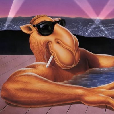 lleeeew's profile picture. unlucky mate