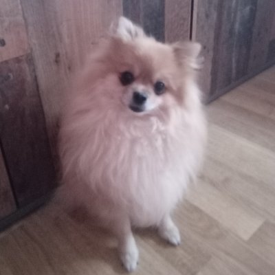 javi6p82474's profile picture.