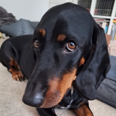 lakeschlaba's profile picture. 