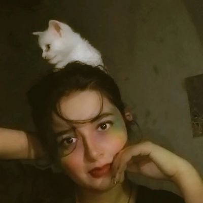 ShingarafT's profile picture. 