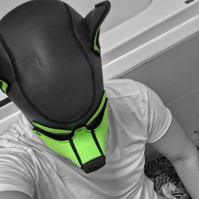 czpup_tal's profile picture. 🔞NSFW • Good boy 🐾 • lvl 34 • Breeder 🥛🥯 • 🐻bear ➡️ otter 🦦 in progress • 🗣️🇨🇿🇬🇧🇵🇱🇭🇷🇮🇱 • sober 🚫🍻