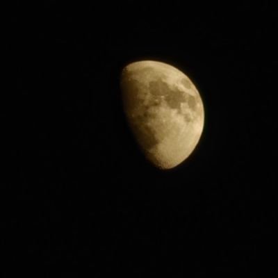 MalekGaber7's profile picture. Counter strike 2 silver