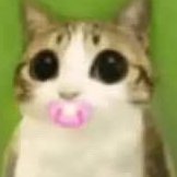 AaliyahFlo67269's profile picture. 