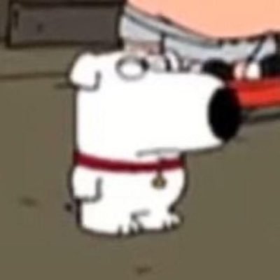 ez_vgl's profile picture. Pensamentos pensantes