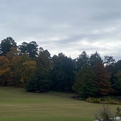 knh5cdn948's profile picture. 