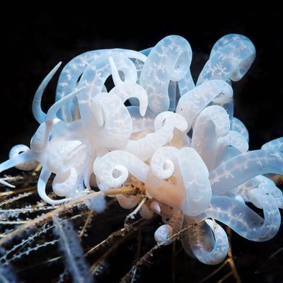 R__B__K__'s profile picture. 