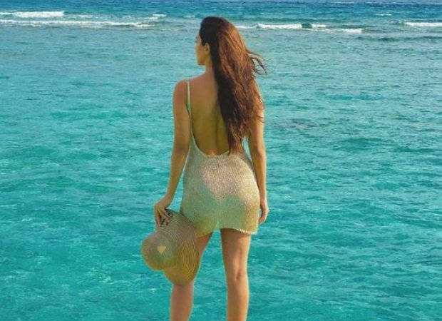 emily_alex51719's profile picture. 