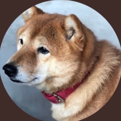 Hirobiro3030's profile picture. 薬局薬剤師 薬局経営者 日本薬剤師研修センター研修認定薬剤師 ロードバイク乗り 日曜百姓 90ゴルファー 四国西部在住の一児の父親 イメージカラーはあずきなこ色。