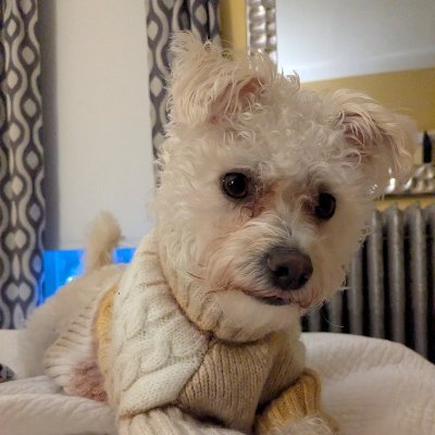 worstending_'s profile picture. Gentle. Kind. Beautiful. |
 Doug ,. Is named Ellie | ⚠️ do not turn on notifications