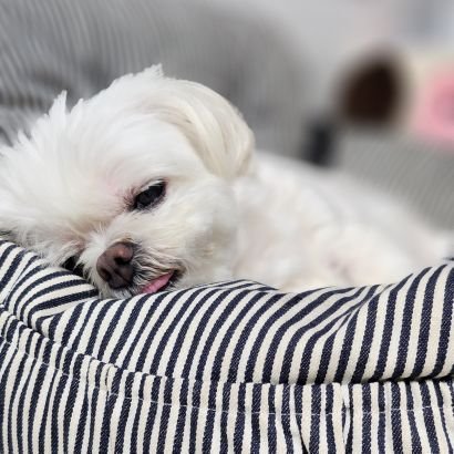 happywom's profile picture. 매일 아주 조금씩 나이 들어 가면서,
매일 아주 조금씩 더 나은 사람이 되려구요...
그러려구요.