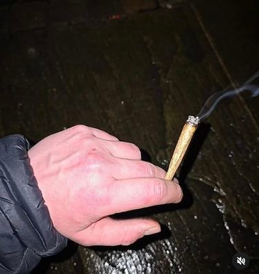 MerlinZun's profile picture. Ye ma