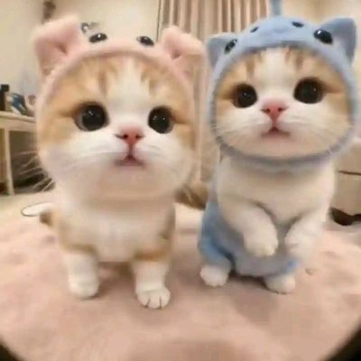 yukipi7358's profile picture. Just because today didn't have any "bad" things, today is considered the "happiest" day.✌🏻✌🏻✌🏻