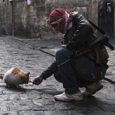 FNHerstall's profile picture. tyrant