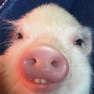 whtatheheck's profile picture. 아무의미없다(정지 당함, 구독하게 해주세요ㅜㅜ)